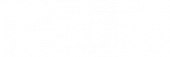 Net Capital logo